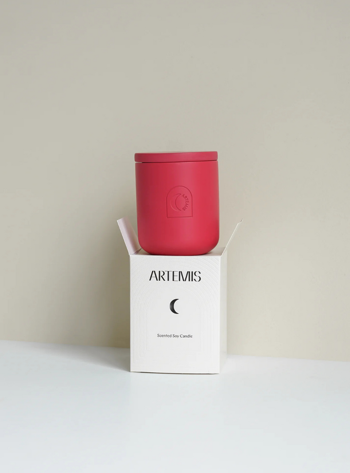 Festive Delight Soy Candle