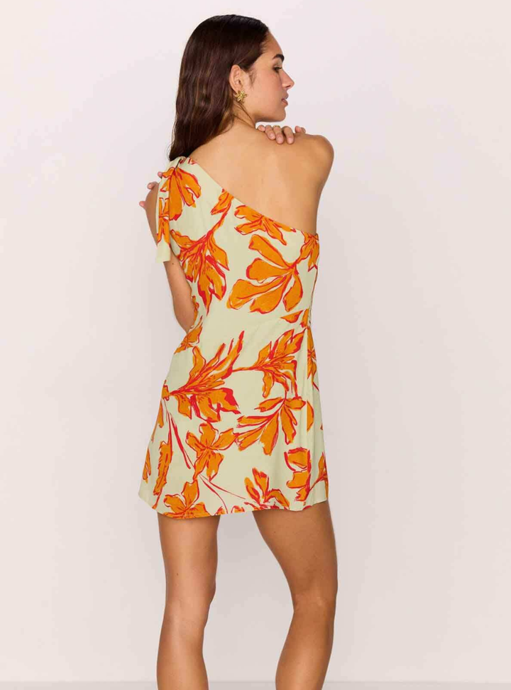 Estelle Mini Dress - Mint Floral