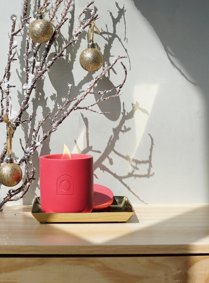 Festive Delight Soy Candle