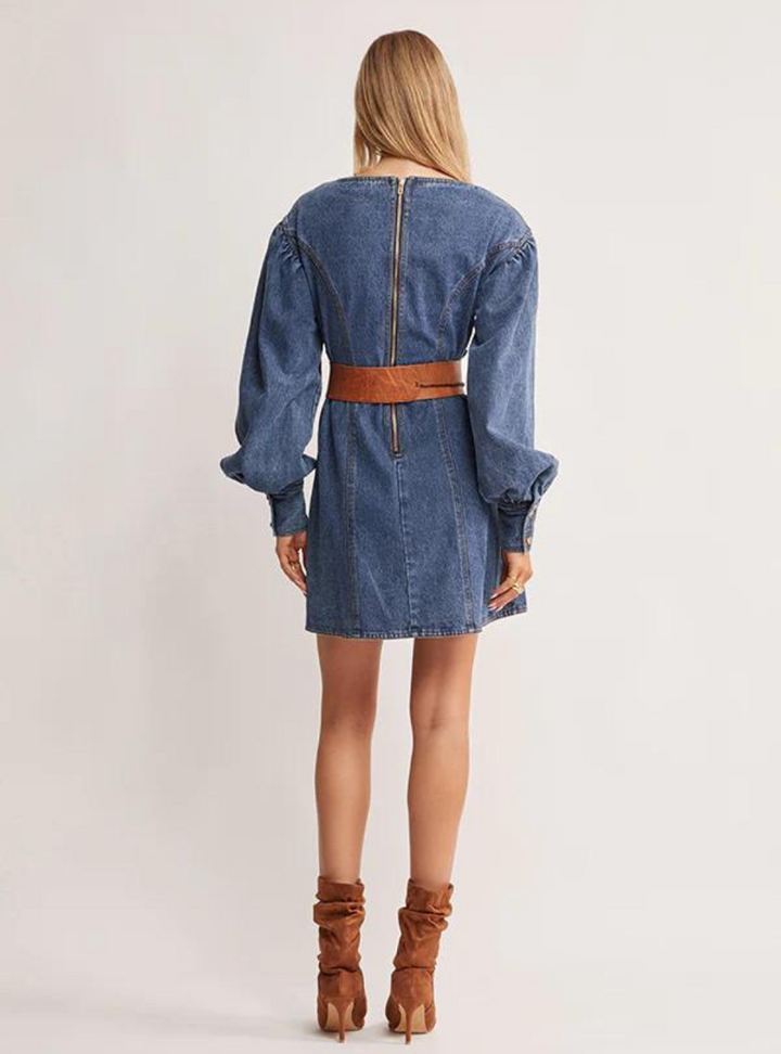 Waterlily Denim Mini Dress