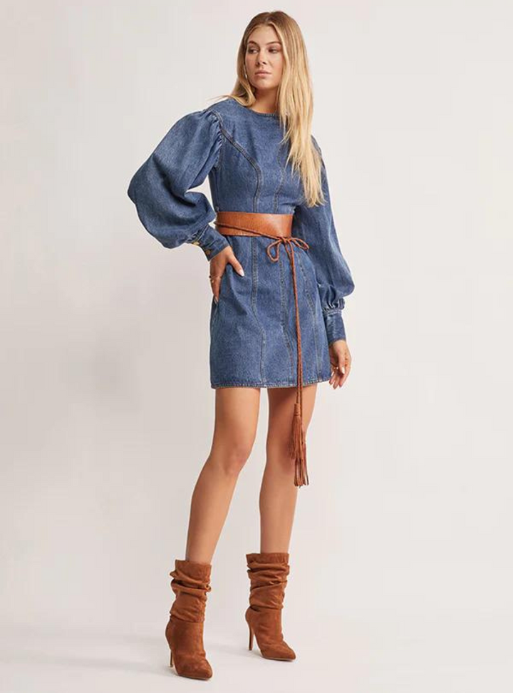 Waterlily Denim Mini Dress