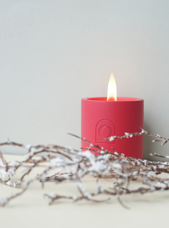 Festive Delight Soy Candle