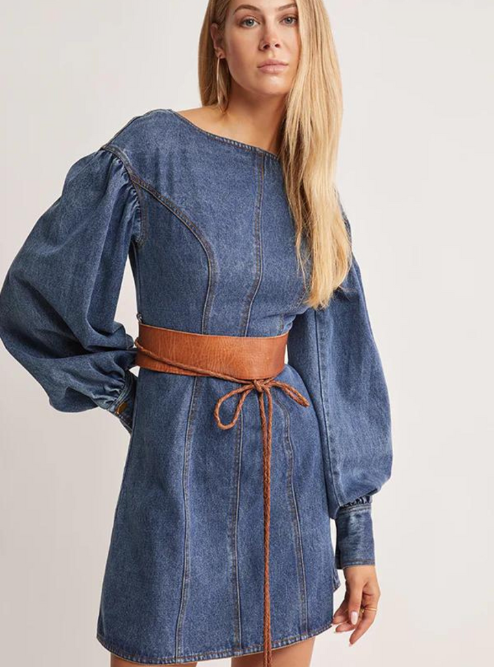 Waterlily Denim Mini Dress