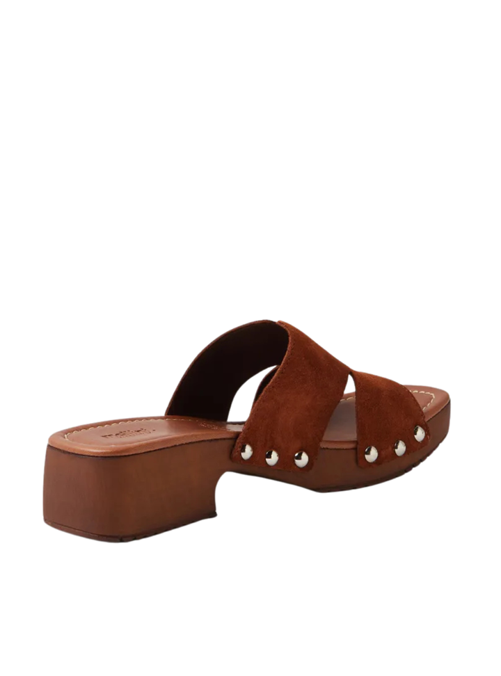 Cranberri - Brown Suede