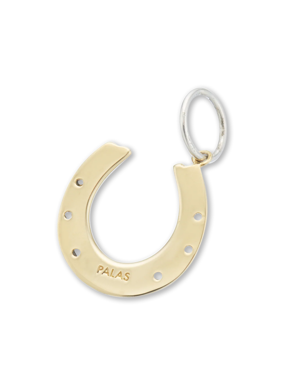 Horseshoe Good Luck Charm