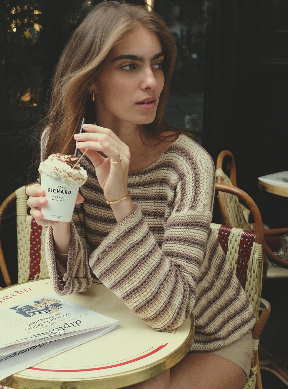 Collectiva Stripe Knit Top - Earth Stripe