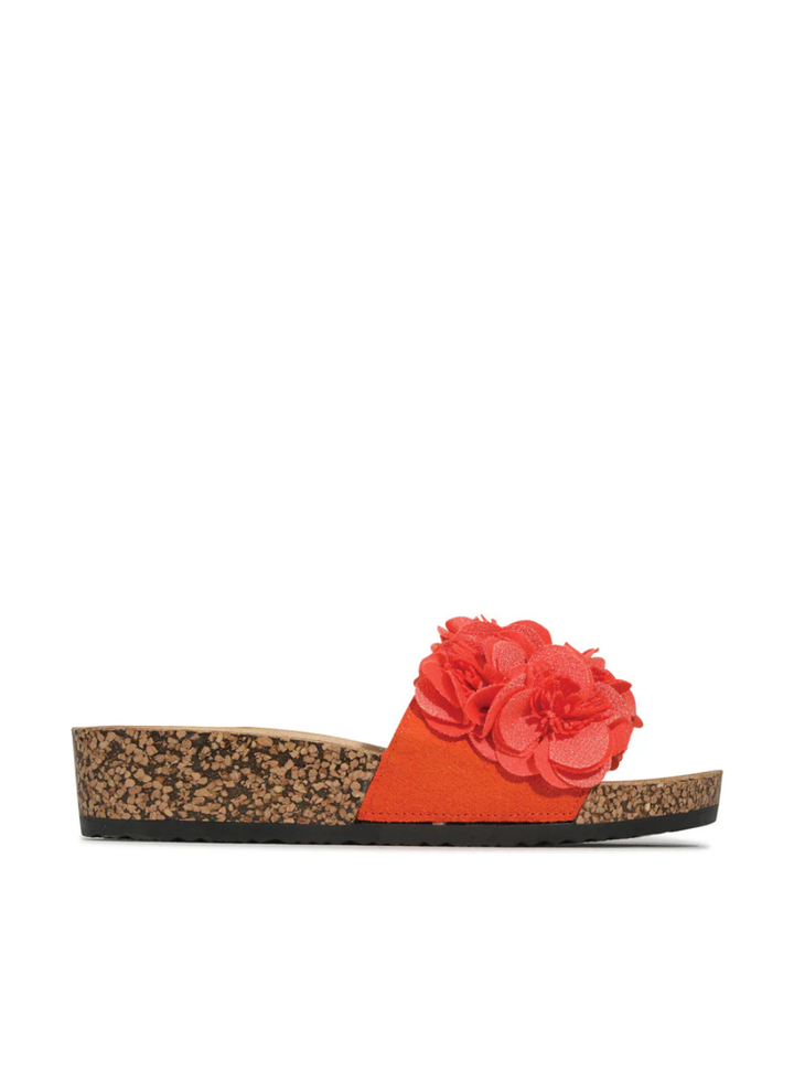 Corsage Slide - Tango