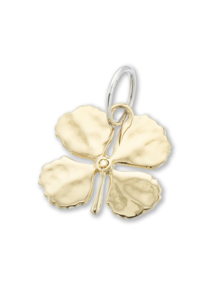 Lucky Clover Charm