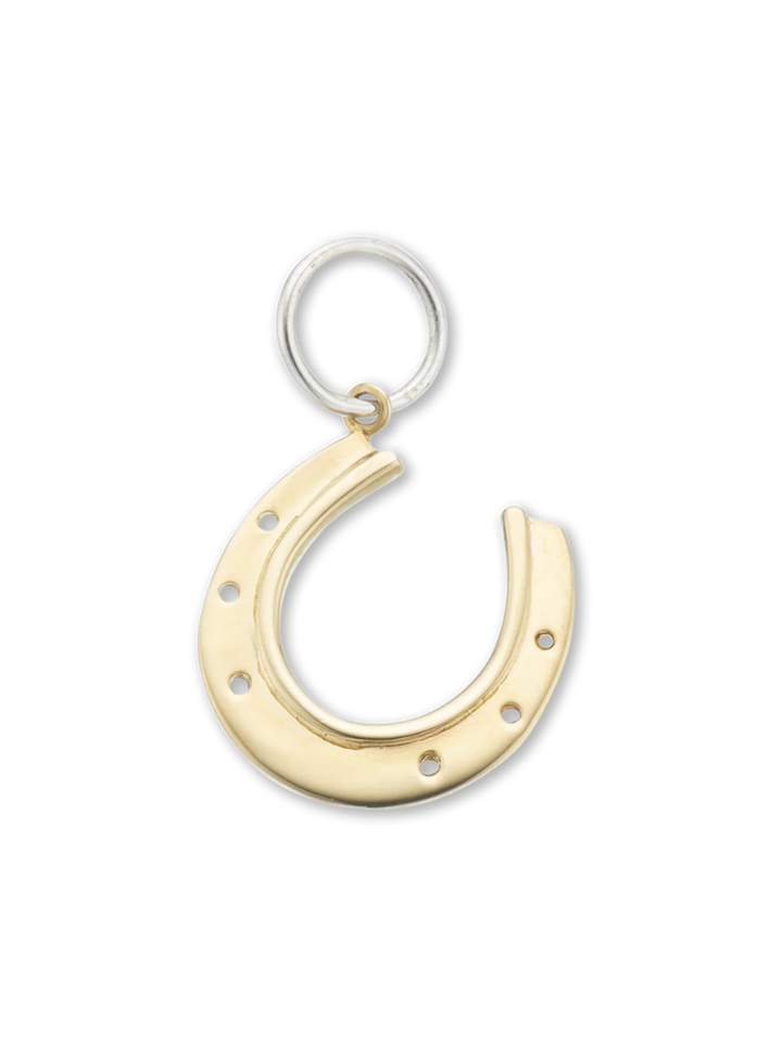 Horseshoe Good Luck Charm