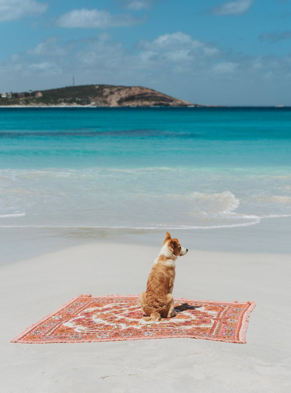 The Daisy Pink Rug: Large