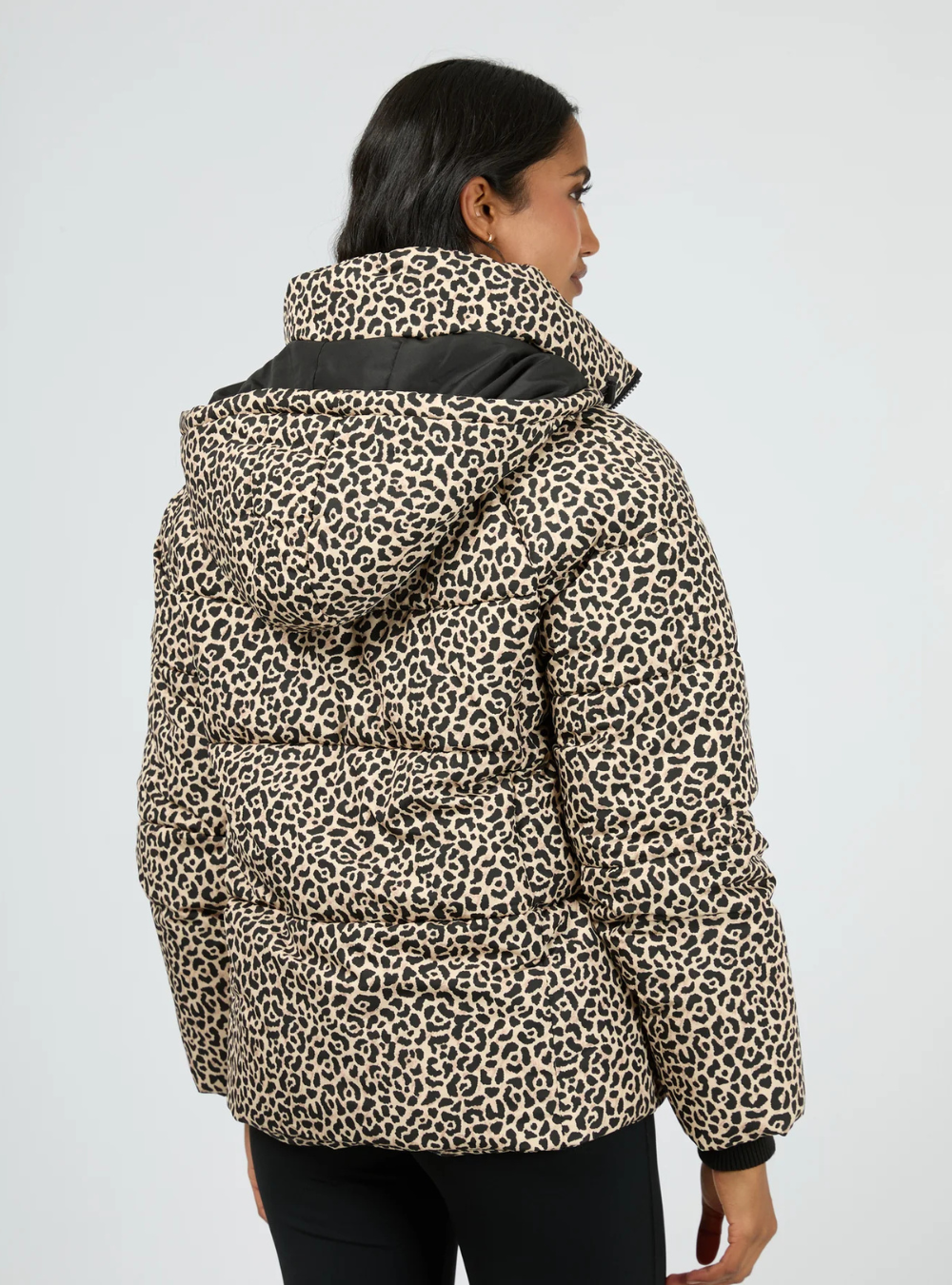Savannah Puffer - Print