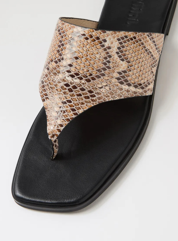 Amii Leather Sandals - Nude Snake